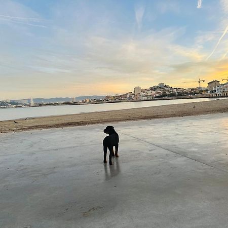 L'Enraguer Lägenhet Marseille Exteriör bild