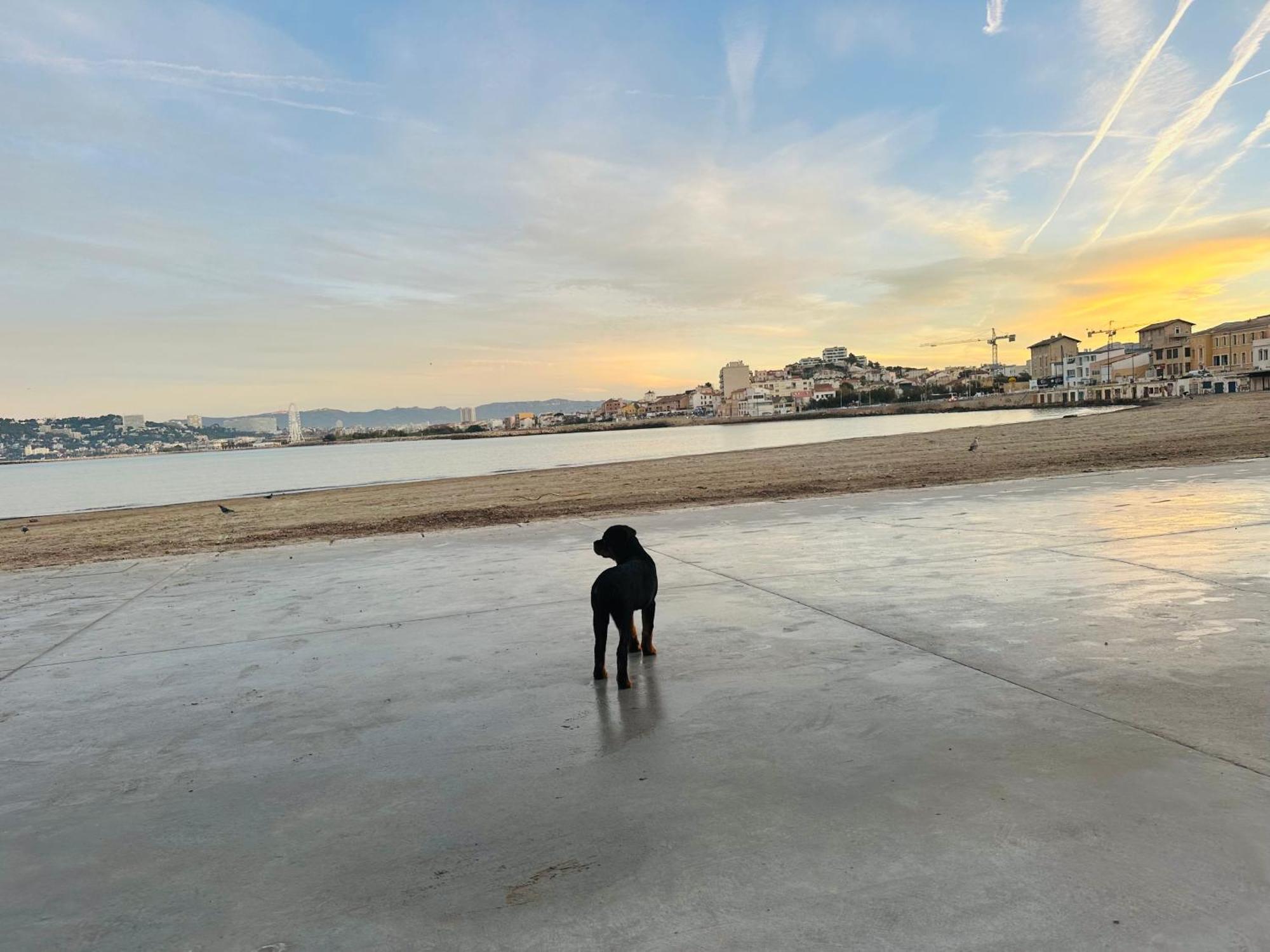 L'Enraguer Lägenhet Marseille Exteriör bild
